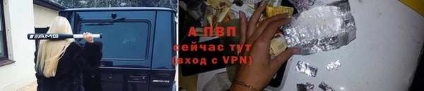 mdpv Белокуриха