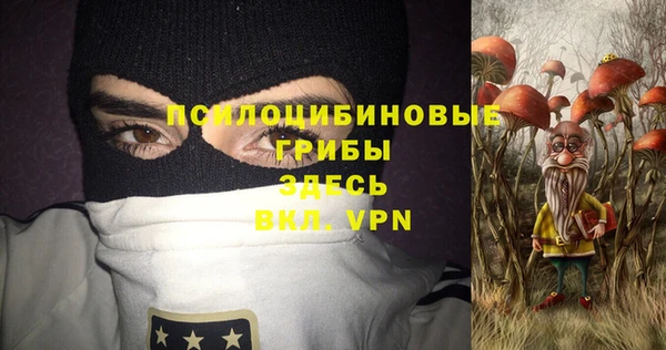 mdpv Белокуриха